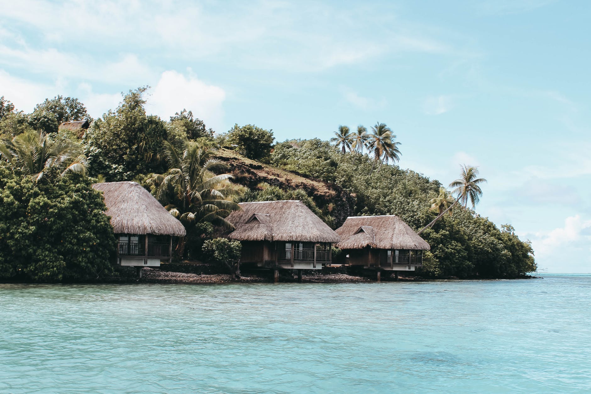 palapa